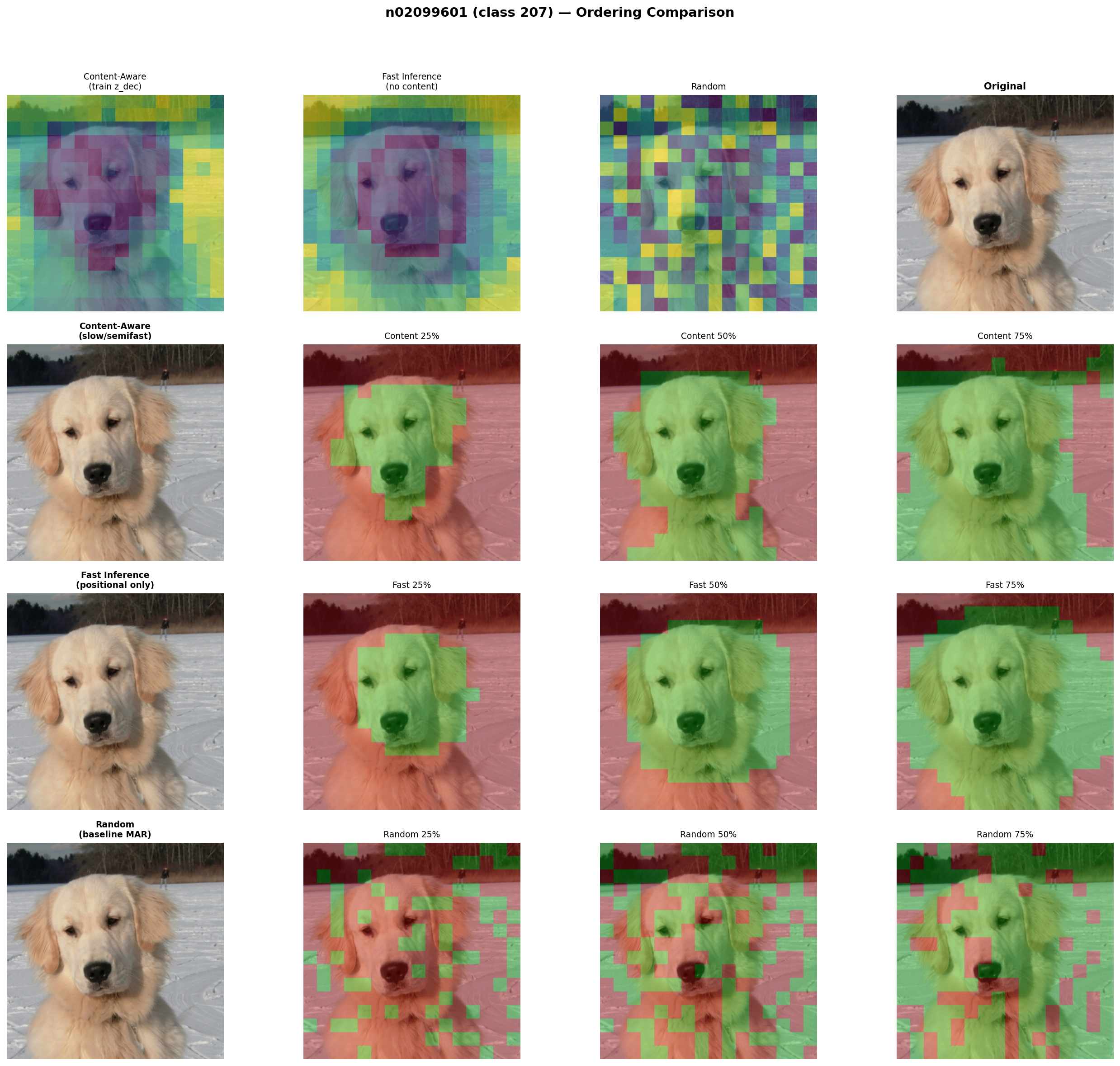 Random vs Learned: Golden Retriever